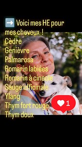 ➡️ Voici mes HE pour les cheveux ! 🤓 Pour en savoir plus @isabellemathieu161 ☑️ 3gts de chaque dans mon shampoing de 250ml : Cèdre Genièvre Palmarosa Romarin labiées et romarin à cineole Sauge officinale Ylang Thym fort rouge Thym doux #soindescheveux #coupelibératrice #coiffurethérapeutique #saintmaximinlasaintebaume | Isabelle Mathieu
