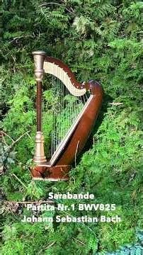 Sarabande, Partita BWV 825- Johann Sebastian Bach #liverecording #music #harp