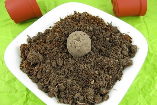 What are Seed Balls? How Do They Work, Uses and Facts of Seed Balls - Conserve Energy Future