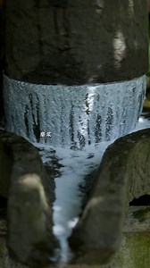 New farmer's treat | Crafting snail noodles from scratch | Village Lifestyle Vlog