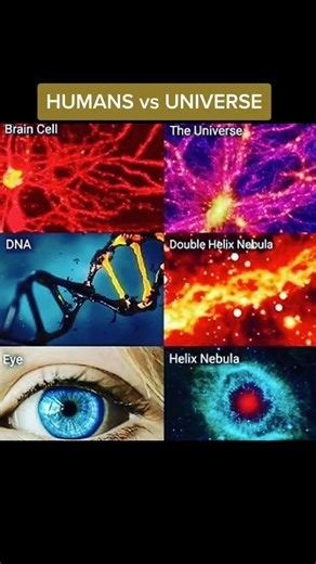 Humans vs Universe: A Comparison of Cosmos and Our Existence