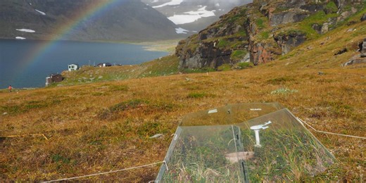 Increased methane uptake in a warming Arctic