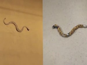 Kinematic gait synthesis for snake robots (1)