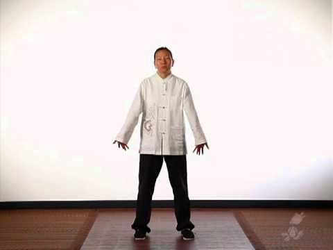 Immune Boost Qigong