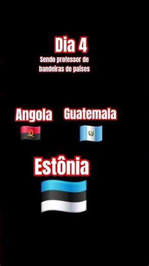 dia 4 sendo professor de bandeiras de países