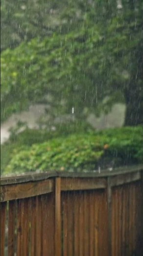 Cozy Rainy Day 🌧️ Relaxing Rain Sounds