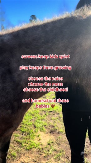 The freedom homeschooling gives us is amazing! #homeschooling #homeschoolersoftiktok #homeschooledkids #noscreentime