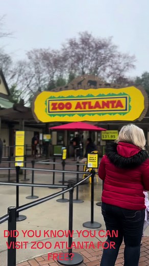 Georgia residents can check out the Zoo Atlanta Library Pass for free admission for a family of four. You must visit your local public library to obtain the Zoo Atlanta Library Pass. #zoo #zooatlanta #thingstodo #thingstodowithkids #atlanta #library #georgia