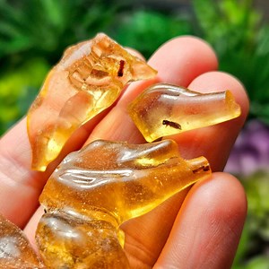 Amber With Insects - Natural Amber - Raw Amber - Amber With Bug - Amber With Insect - Natural Amber - Amber Crystal - Amber Stone - Etsy