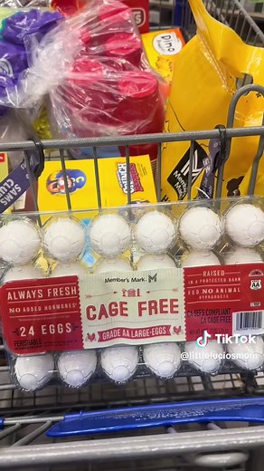 Ultimate Sam’s Club Shopping Haul Guide