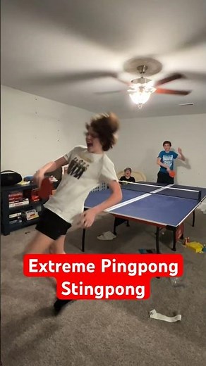 Extreme Ping pong: Sting Pong