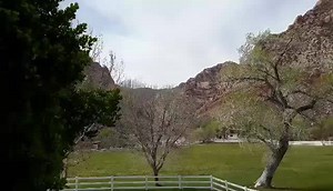 Liiiittle breezy today . . . | Spring Mountain Ranch State Park