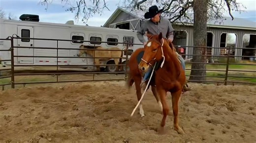 Spanky’s first ride! HD Ed Edd N Eddie is a 2024 gelding by Eddie Stinson out of Streaking Light by Streakin La Jolla. | HD Performance Horses