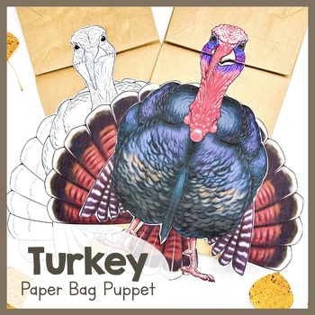 Thanksgiving Turkey Craft for Preschool, Kindergarten, First Grade, Second Grade
