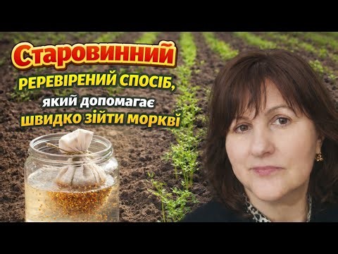 DO THIS! AND YOU WILL HAVE YOUNG CARROTS SOON