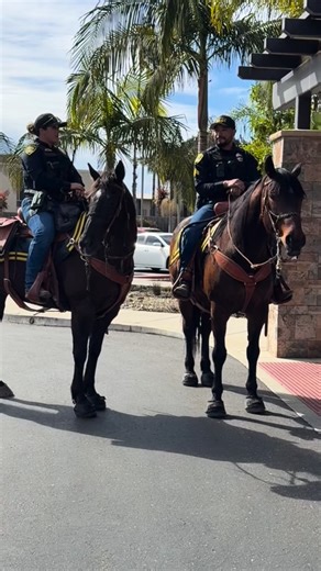 Marian Foundation on Instagram: "We had some visitors from @smpdhq at Mission Hope Cancer Center on Friday! Officers Rubio and Caro brought the horse unit through to visit with staff and patients receiving treatment. Those who could come out had a chance to pet the horses and take photos while others, such as our patients on the infusion unit with extended infection control protocols, observed from the safety of their floor as the officers did a “drive by”. It was such a fun surprise!"