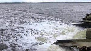 Untreated dirty and smelly sewage is discharged through a pipe into a natural reservoir, the Khadzhibey Estuary. Wildlife ecology, Ukraine