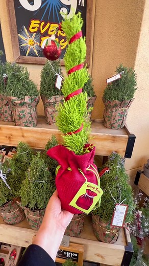 New Grump Tree at Trader Joe's - $9.99