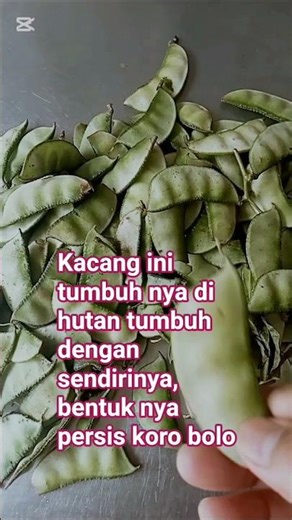 kacang liar menu makan malam ini,