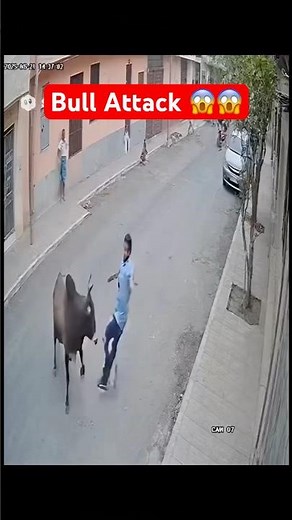 Bull Goes Out of Control | Man Nearly Crushed on Street | Real CCTV Footage