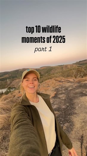 Still can’t believe this happened! 😳 This Malachite Kingfisher is completely wild and has never been baited, but because of respectful viewing over a long time, it’s become very comfortable with the boats and has started using them as a perch while fishing 🎣 It was even too close to capture with my camera, so all I could do was use my phone and simply watch with my own eyes, taking in every detail of the feathers 🪶 This happened while hosting guests with @pangolinphotosafaris on the Chobe Riv