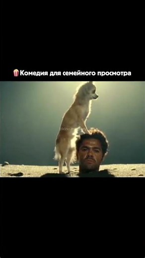 НАЗВАНИЕ ФИЛЬМА: Джунгли зовут! В поисках Марсупилами (2012)