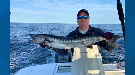 Great Barracuda breaks record for largest fish in exotic category