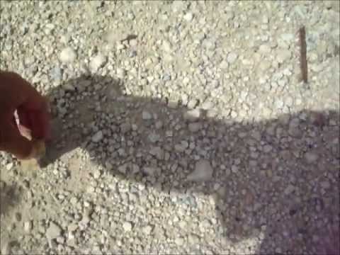 How to find North using the Sun and Shadows