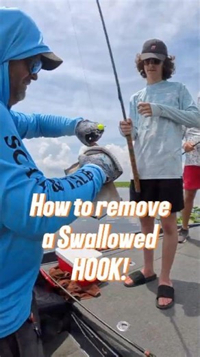 How to remove a swallowed hook from a #fish #shellcracker #fishing lake #kissimmee #bluegill