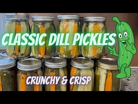 Easy Classic Dill Pickles! [CRUNCHY & CRISP]