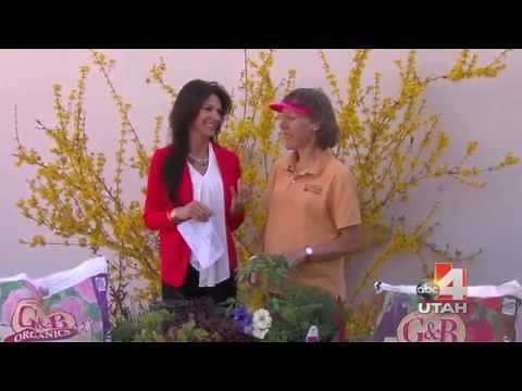 Dirt vs. Soil - What's the Difference?