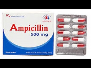 Understanding Ampicillin Side Effects