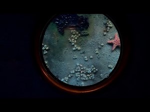 Finding Nemo Submarine Voyage | The Ride | 09/01/23 | Disneyland Resort