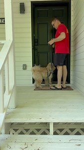 Boomer was very excited and happy for his first visit to the new house! | Meteorologist Jeff Castle