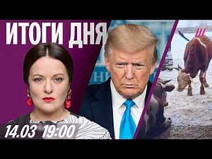Протесты в РФ: у фермеров забивают скот. Иран объявил Украину законной целью. Долин: фавориты Оскара