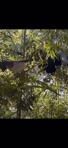 1M views · 4.9K reactions | Ơ kìa bạn #buocchanvungcao #trinhhoainam | Bước Chân Vùng Cao | Facebook