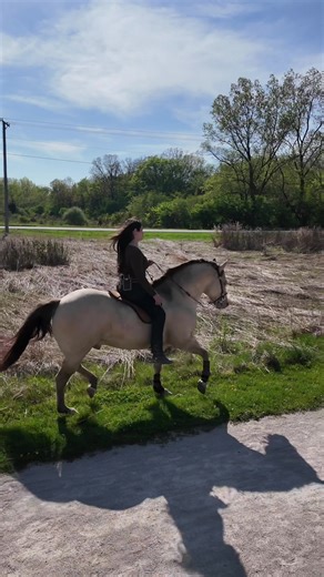 Joliet Quarter Horse Vaquera Riding