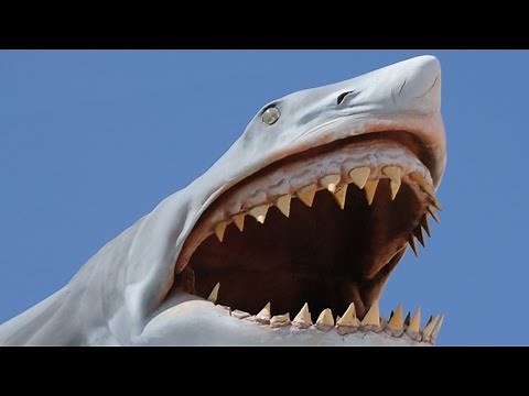 BADASS SHARK! (Stranded Deep #3)
