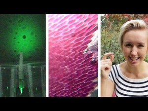 3 DIY Microscopes with a Laser Pen | Shed Science