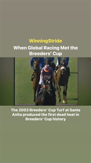 When Global Racing Met the Breeders’ Cup High Chaparral — The 2003 Breeders’ Cup Turf Dead Heat By WinningStride Every Stride Tells a Story Some races leave no doubt. Others leave history frozen between two names. The 2003 Breeders’ Cup Turf at Santa Anita produced the first dead heat in Breeders’ Cup history, and it is still one of the most unforgettable finishes the event has ever seen. ￼ A champion steps onto the U.S. stage High Chaparral, trained by Aidan O’Brien, was already a proven intern