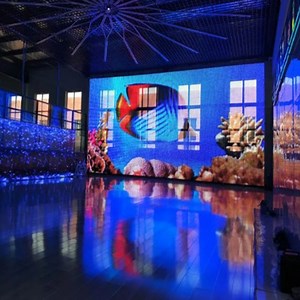 [Hot Item] Transparent LED Display Screen Manufacturer China Indoor Outdoor See Through LED Screen