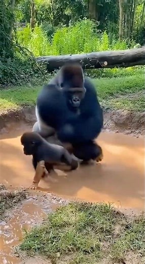 Mom Ends The Mud Party With ONE Slap! 🦍💥💀 😂