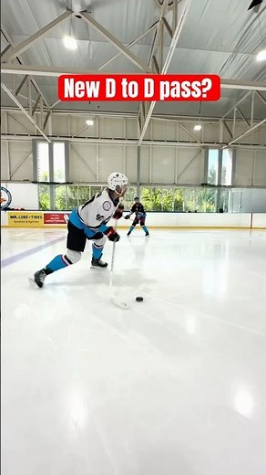 Would this work in the NHL!? #hockey #pavelbarber #nhl