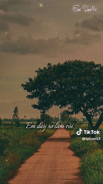 Xin Anh Đừng Hứa || Tuyết Nhung