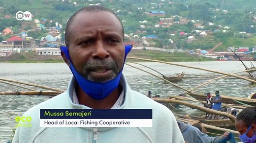 Most lakes in Rwanda have been subject to unregulated fishing for years, which has led to the collapse of many fisheries. Now the country is restocking the lakes with native fish to avoid more environmental problems. | DW Africa