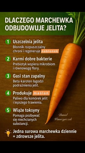 Niewielka marchewka — wielka regeneracja. | Daniel Wawrzynczak