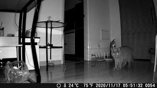 trail camera hunting scouting 4K\/20MP night vision video