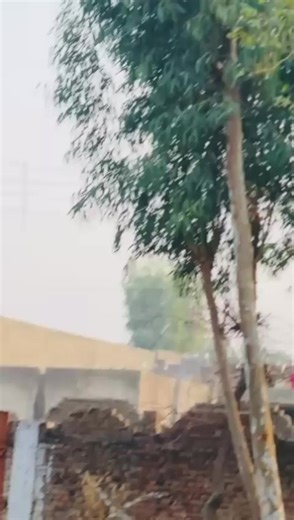 #✌️❤️💔👑👍❤️‍ Please 🙏 Support me ✌️😍🫡👑❤️🇵🇰☠️❤️‍🩹🚬🚬🤔🦅💯🇵🇰👍🍷🍷💔❣️🥺🚬❤️‍🩹☠️ Misbah for you Repost me 😢🫡🫡😢😢🚬🚬❤️‍🩹💯🇵🇰🇵🇰👍🍷😍😍🤗🤗🤗@「95」ᗰᑌᕼᗩᗰᗰᗩᗪ @▄︻デK̷A̷B̷E̷E̷R̷ ̷J̷A̷N̷══━一 @قیدی 804