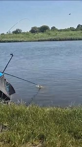 60K views · 599 reactions | There’s plenty of pressure when you’re playing a big fish in a WORLD CHAMPS!!!! Especially if the gaffer is behind you  | Rob Wootton | Facebook