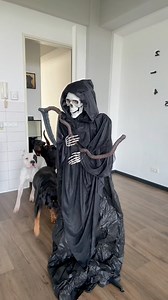 7.1M views · 28K reactions | Grim reaper prank on my dogs 藍 #rottweiler #canecorso #dogoargentino | Gangrottie | Facebook